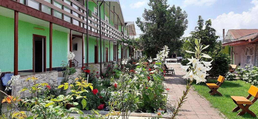 Casa Bucuria Hotel Costinesti Buitenkant foto